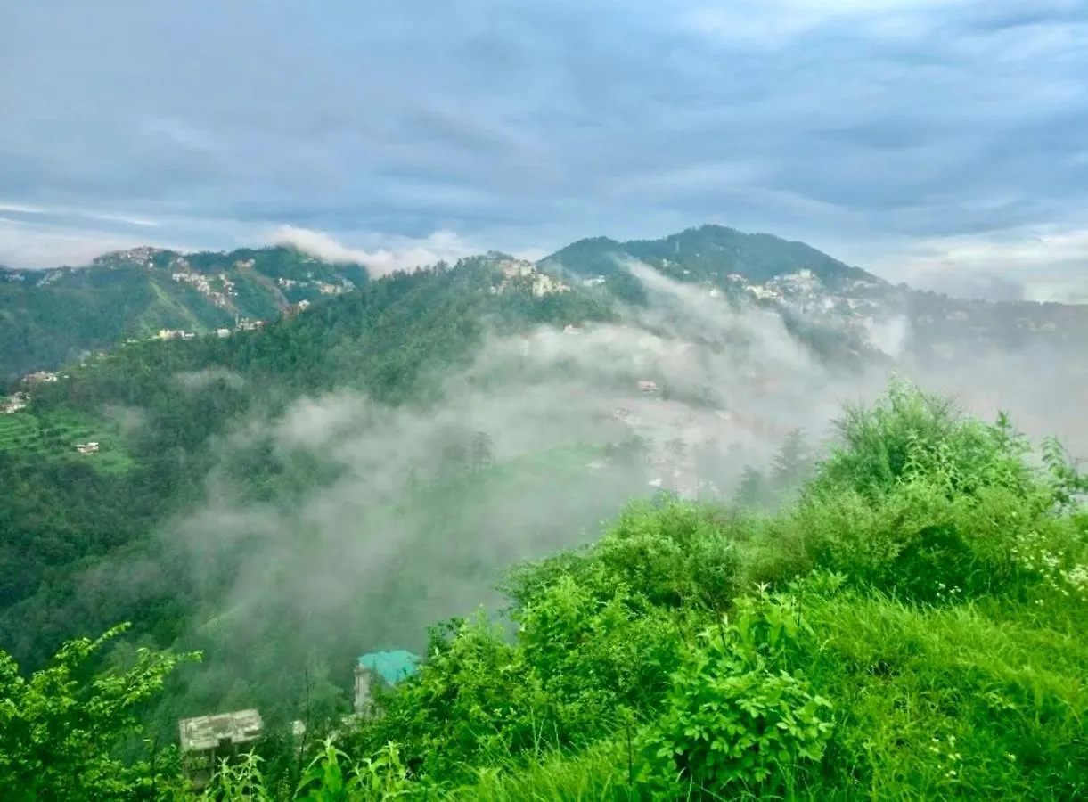 Bed & Breakfast The Cedar Villa Shimla