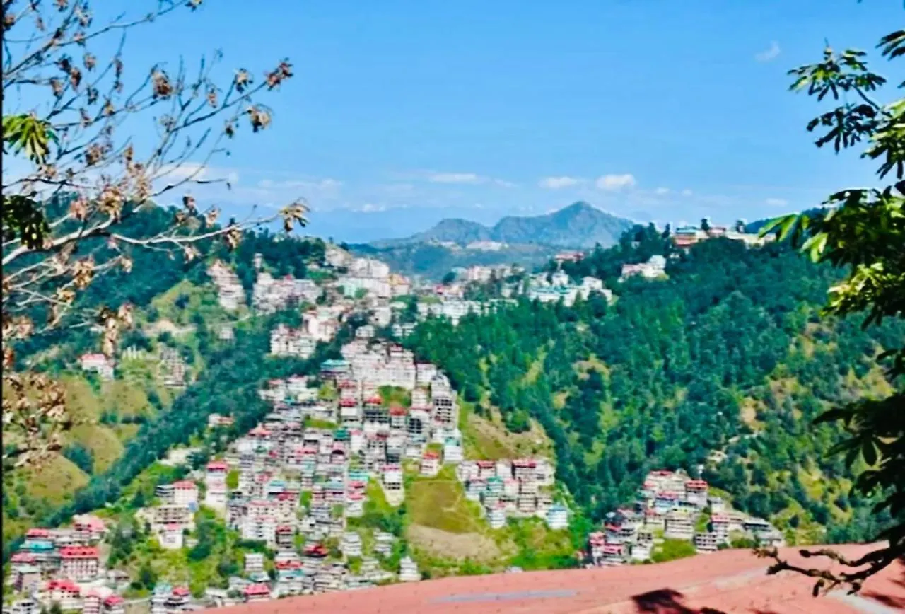 The Cedar Villa Shimla